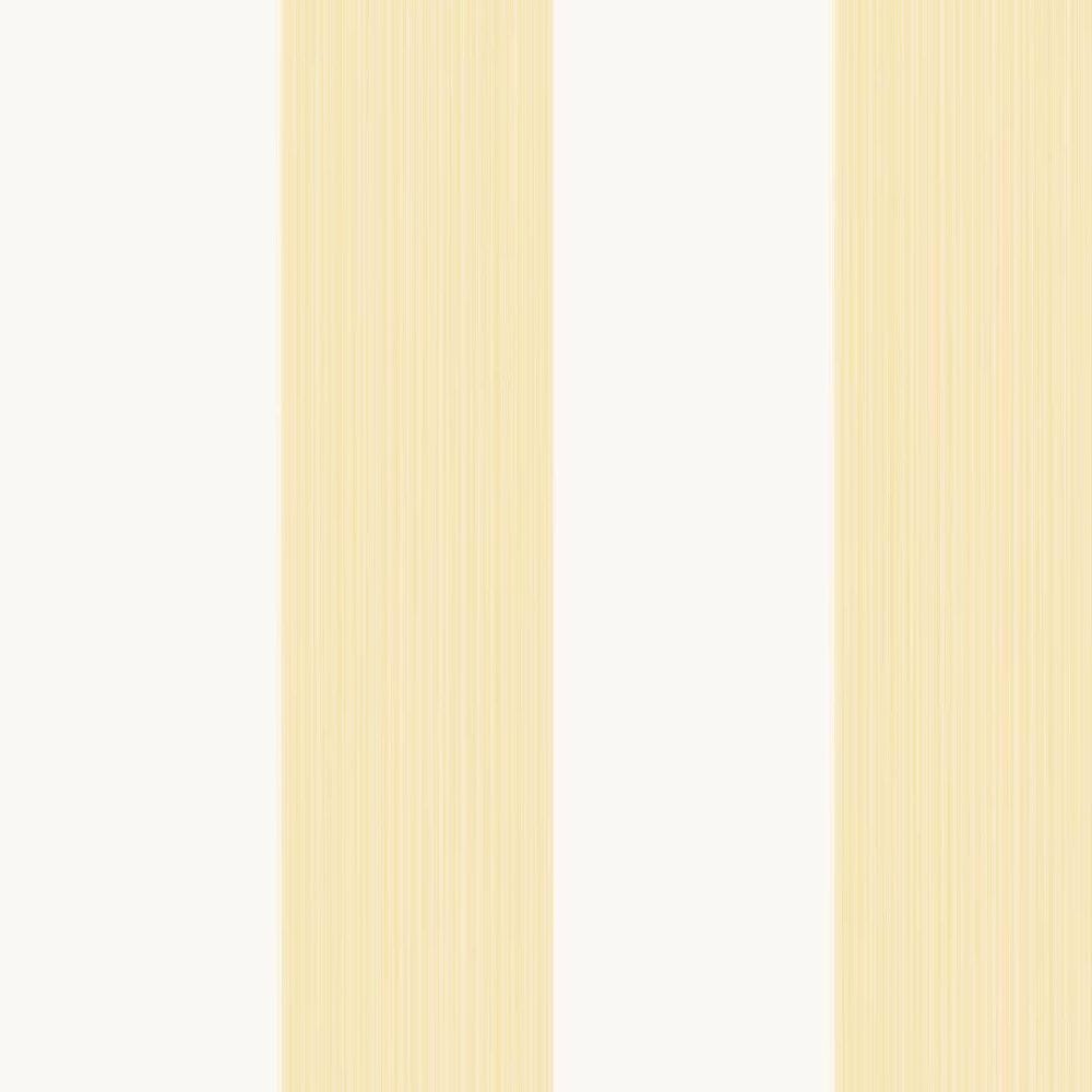 Farrow & Ball Broad Stripe Wallpaper 1319